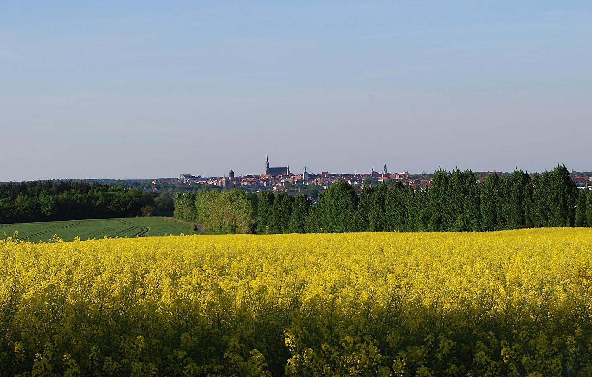 Fewo Geborgenheit Asza Mit Strahlungsfreien Zonen Bautzen Eksteriør bilde